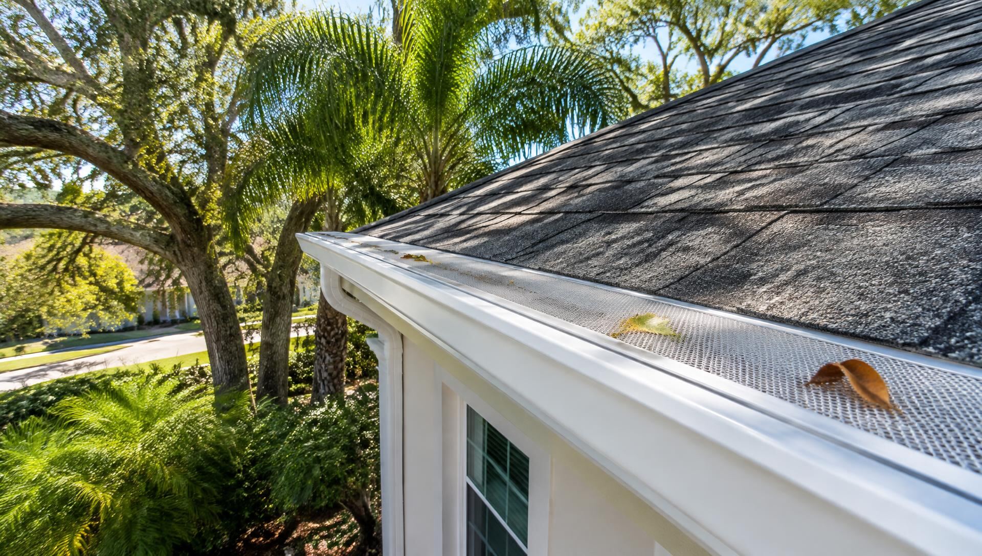 Florida roofline with white gutters and mesh gutter guards under oak and palm trees